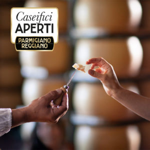 Read more about the article Caseifici aperti 7-8 maggio 2022: visita, degusta, acquista!