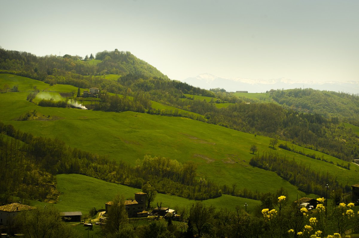 Al momento stai visualizzando Parmigiano Reggiano di Montagna